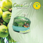 Cocogo & Cafe Latte website-06